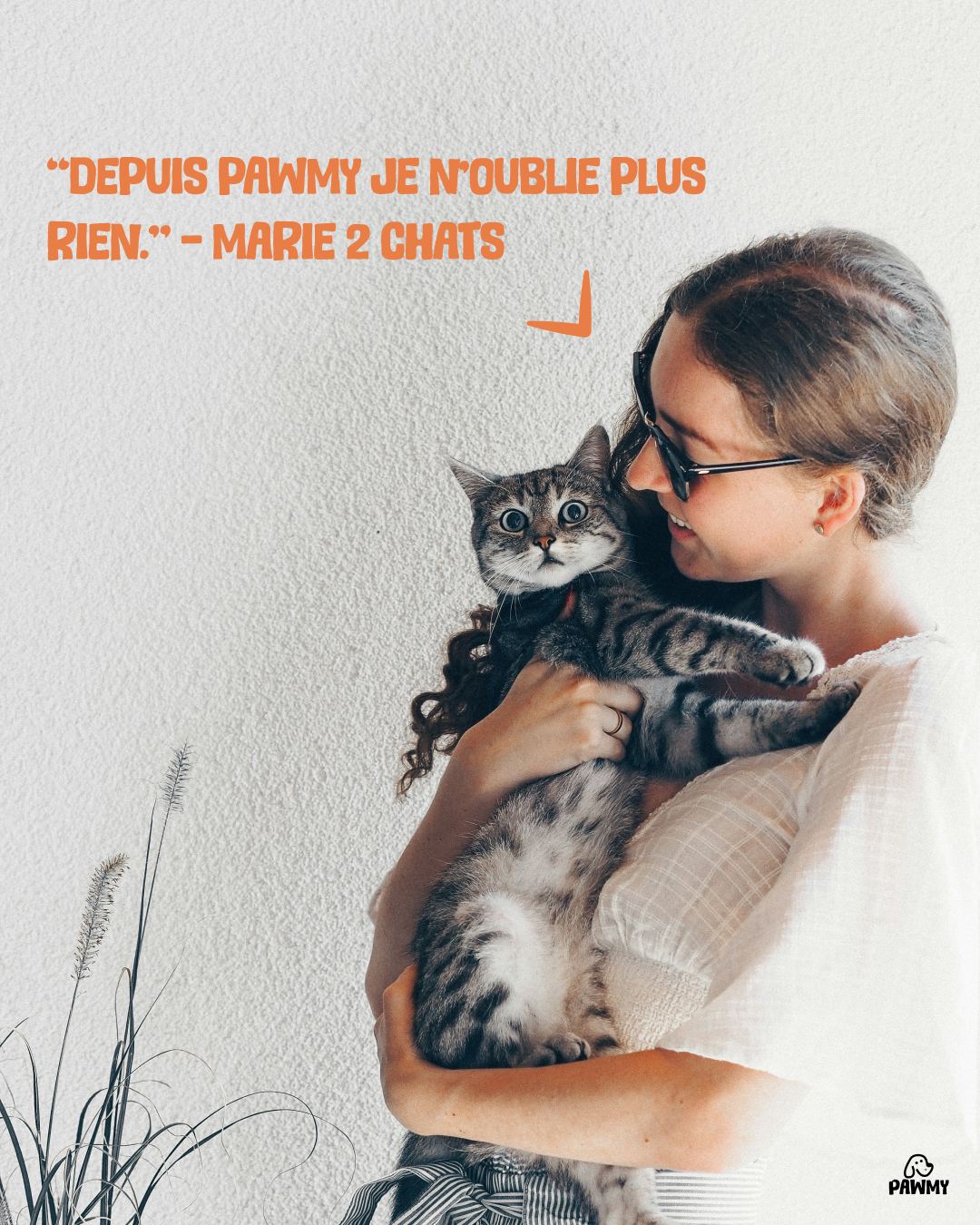 Pawmy visuel